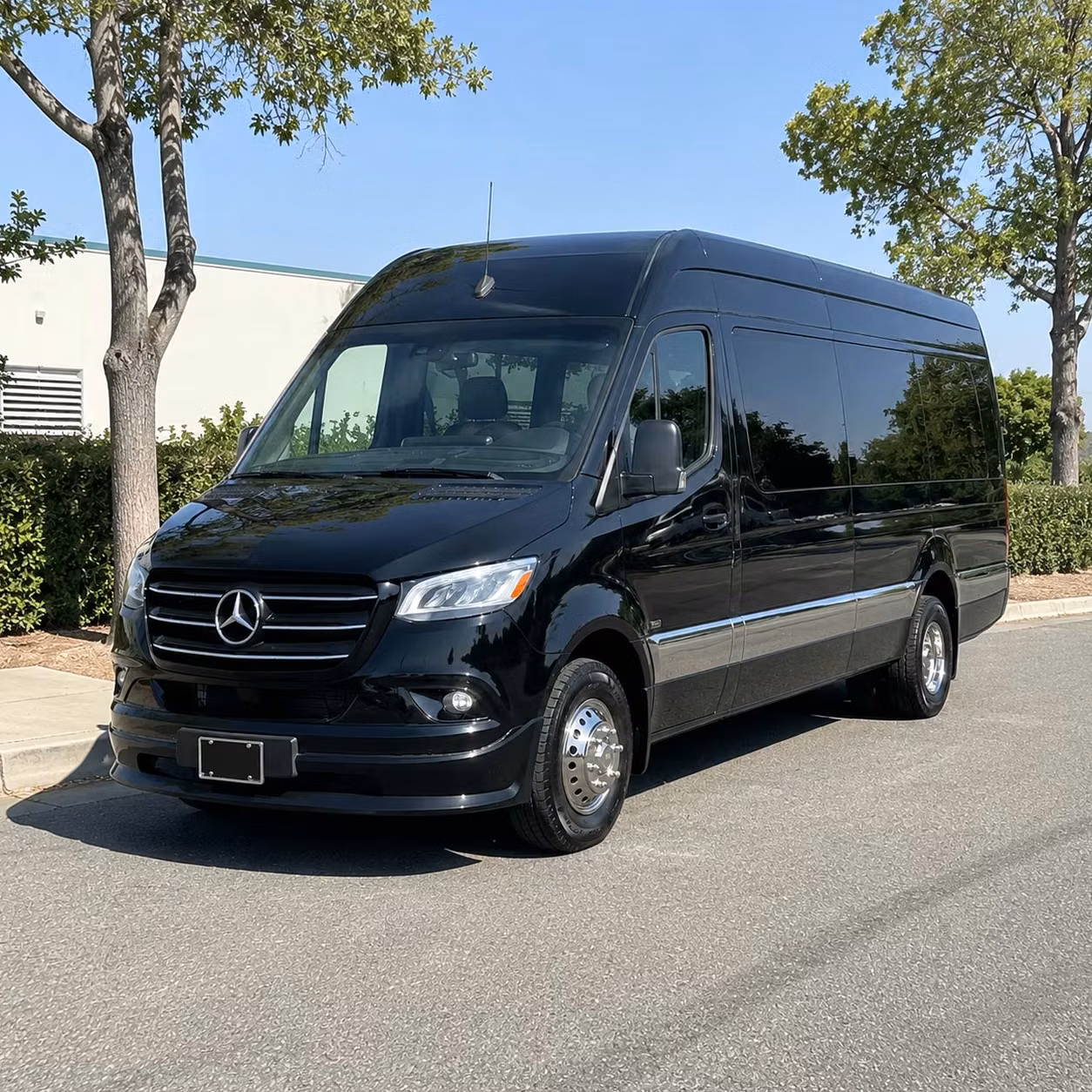 pensacola sprinter limo rental